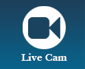 LiveCam Quick Link