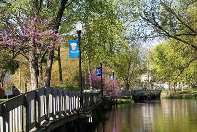 Bridge in Hicks Park